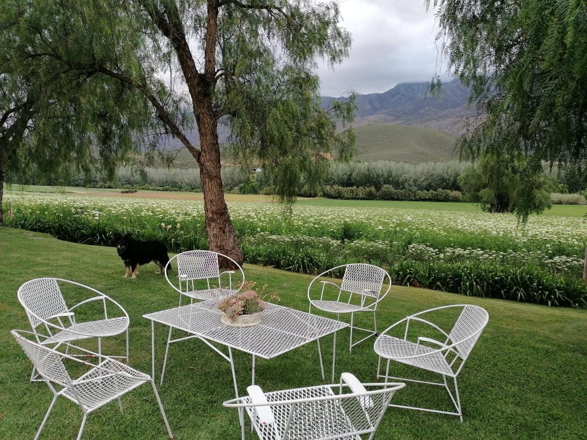 Bed and Breakfast Blue Lily Retreat Matjiesrivier  Екстер'єр фото