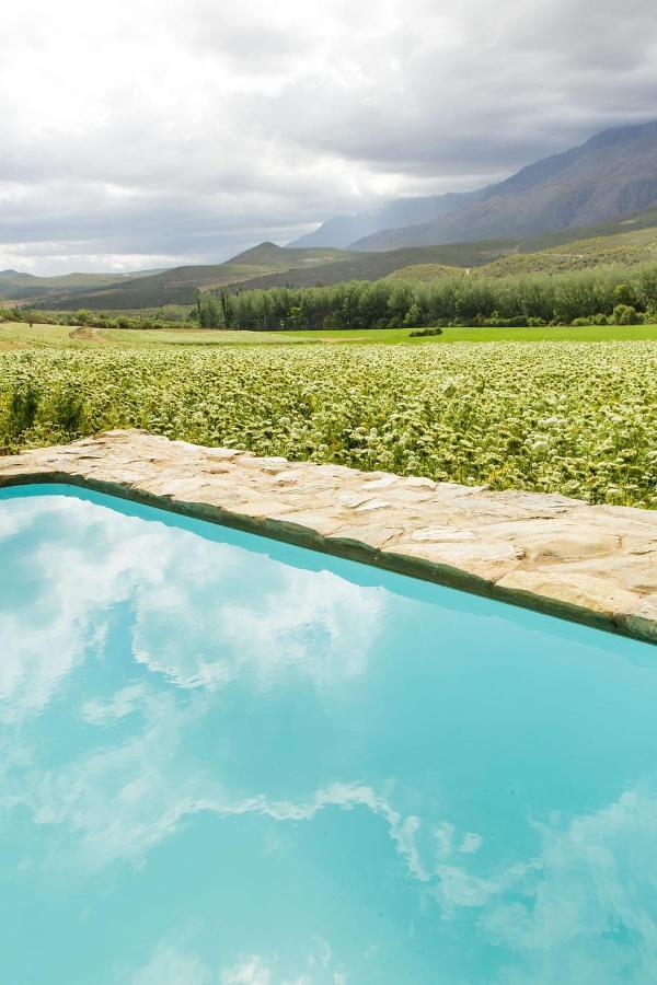 Bed and Breakfast Blue Lily Retreat Matjiesrivier  Екстер'єр фото