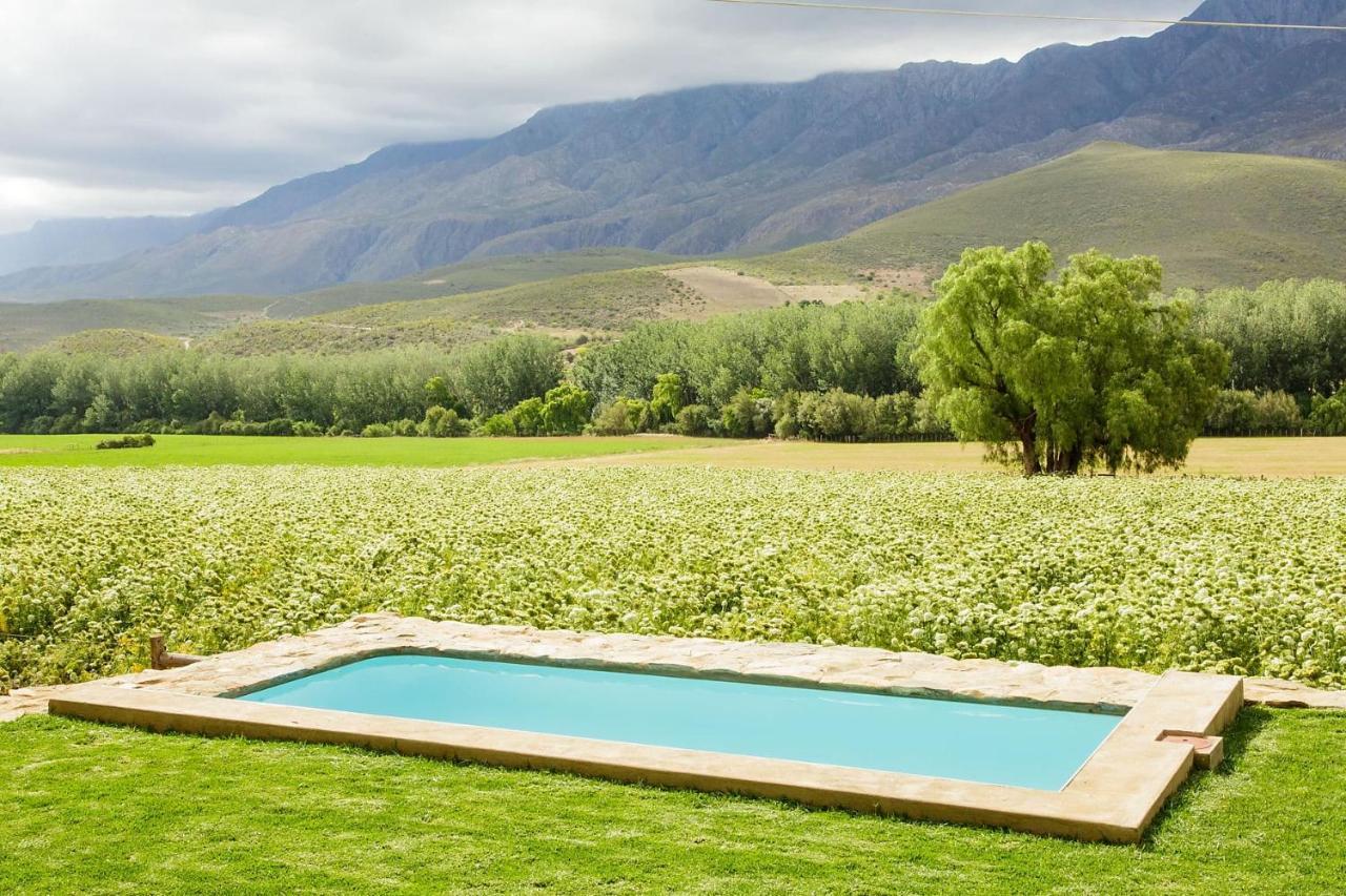 Bed and Breakfast Blue Lily Retreat Matjiesrivier  Екстер'єр фото