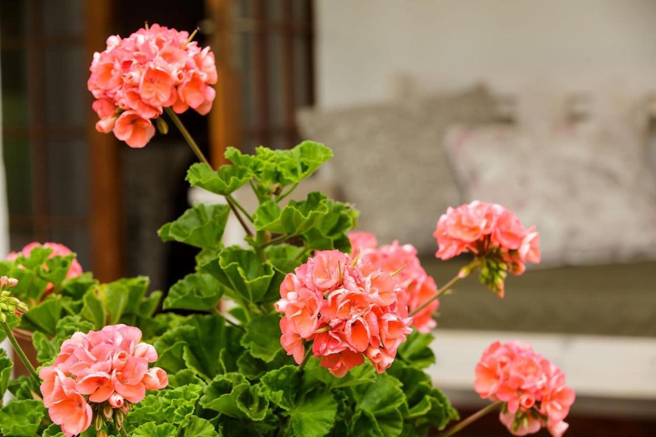 Bed and Breakfast Blue Lily Retreat Matjiesrivier  Екстер'єр фото