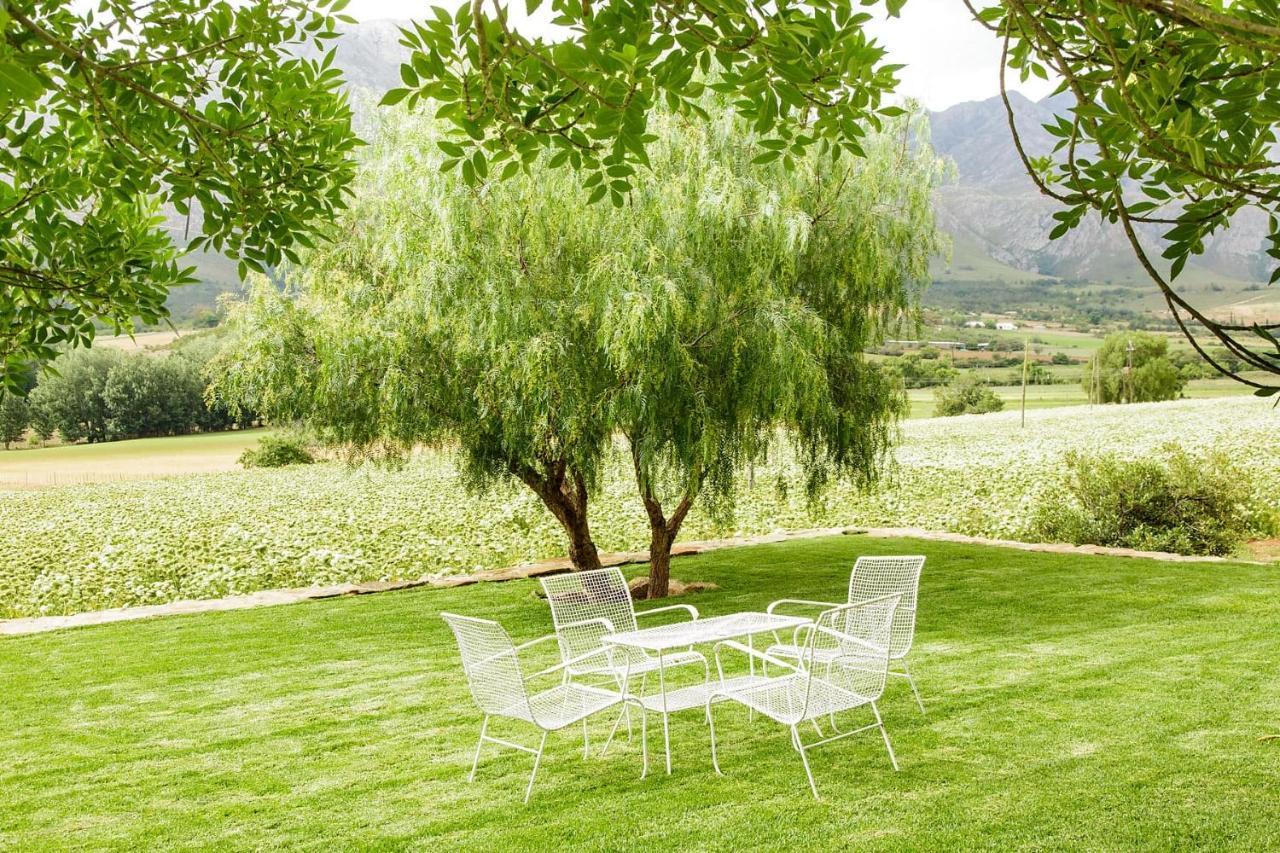 Bed and Breakfast Blue Lily Retreat Matjiesrivier  Екстер'єр фото