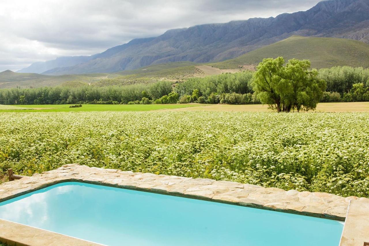 Bed and Breakfast Blue Lily Retreat Matjiesrivier  Екстер'єр фото