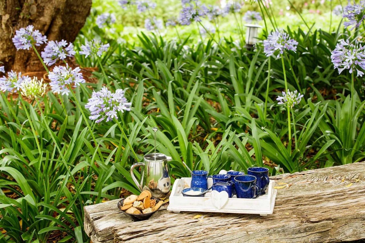 Bed and Breakfast Blue Lily Retreat Matjiesrivier  Екстер'єр фото