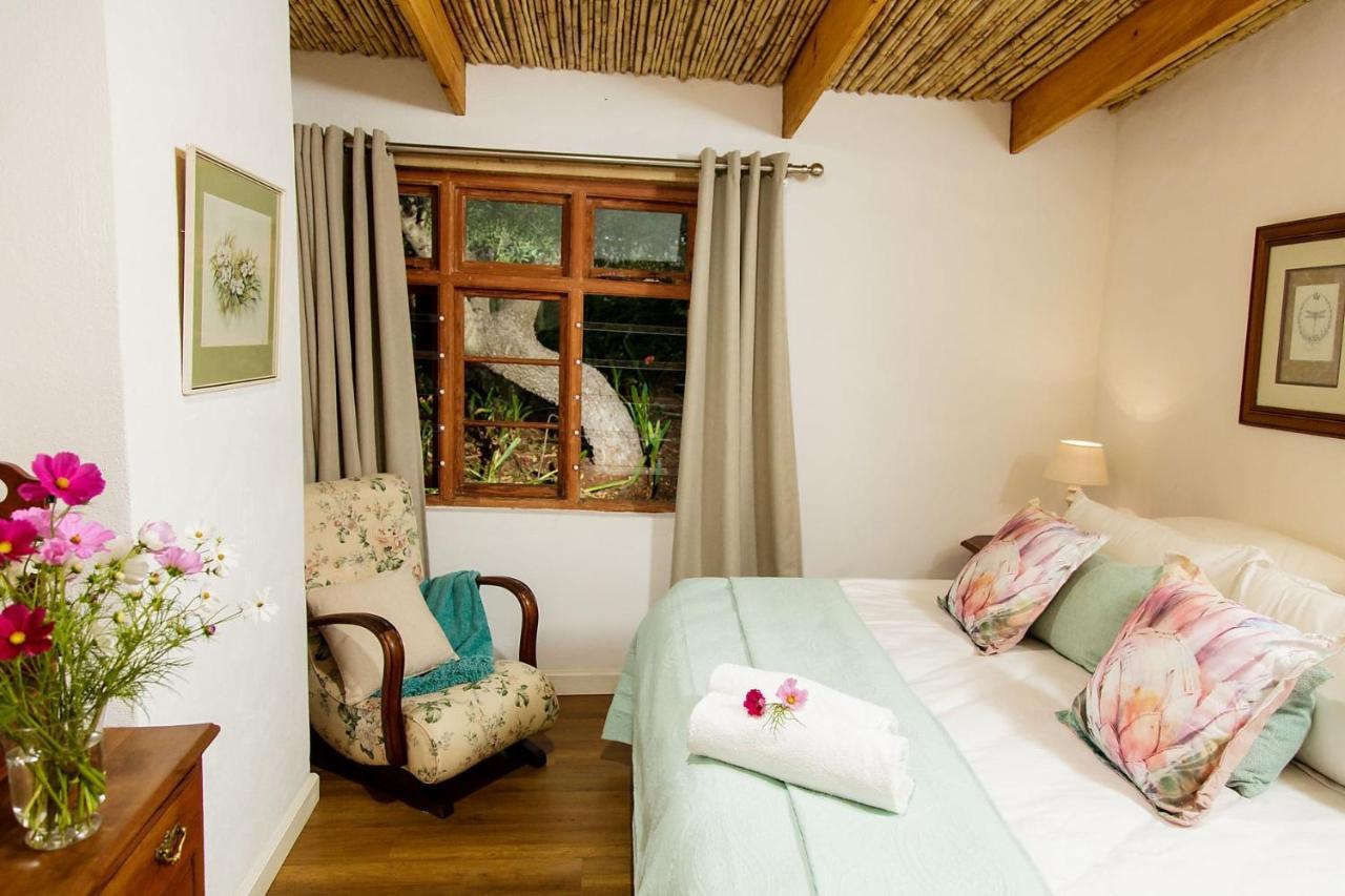 Bed and Breakfast Blue Lily Retreat Matjiesrivier  Екстер'єр фото